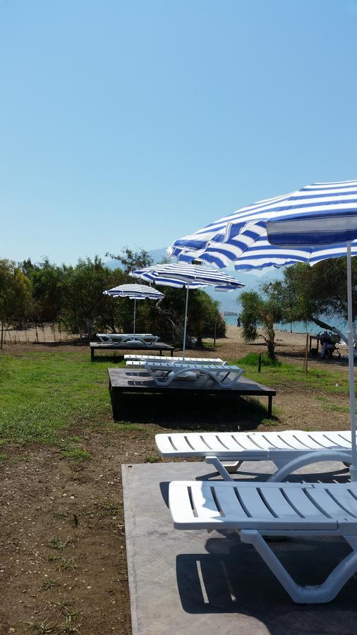 Oda ve Kahvaltı Deniz Yildizi *