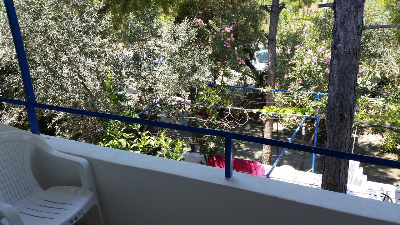 Oda ve Kahvaltı Deniz Yildizi *